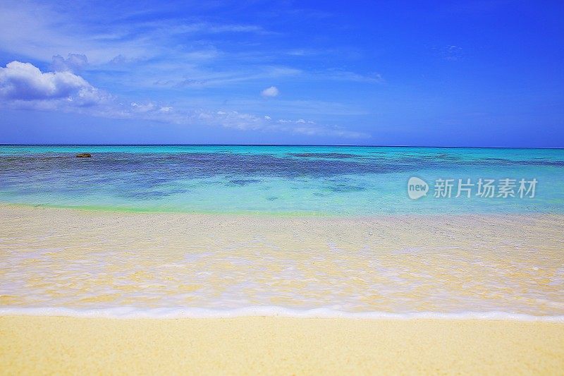 在Arashi - Aruba -夏季天堂，荷属安的列斯群岛，加勒比海的热带海滩与白沙